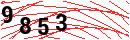 Security Verification