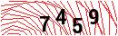 Security Verification