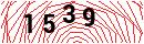 Security Verification