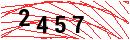 Security Verification