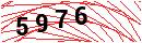 Security Verification