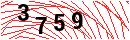 Security Verification