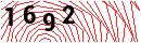 Security Verification