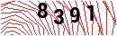 Security Verification