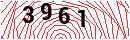 Security Verification