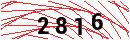 Security Verification