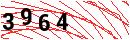 Security Verification