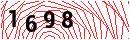 Security Verification