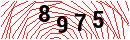 Security Verification