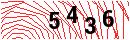 Security Verification