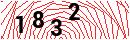 Security Verification