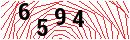 Security Verification