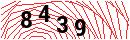 Security Verification