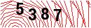 Security Verification