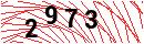 Security Verification