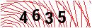 Security Verification