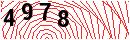 Security Verification