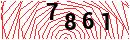 Security Verification