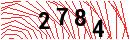 Security Verification