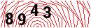Security Verification