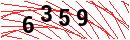 Security Verification