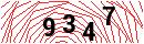Security Verification