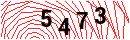 Security Verification