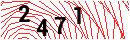 Security Verification