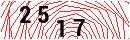 Security Verification