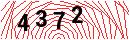 Security Verification