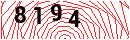 Security Verification