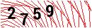 Security Verification