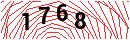 Security Verification