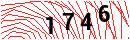 Security Verification