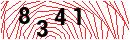 Security Verification