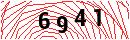 Security Verification
