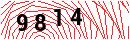 Security Verification