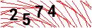 Security Verification