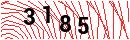 Security Verification