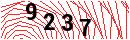 Security Verification