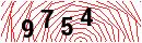 Security Verification