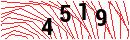 Security Verification