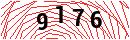 Security Verification