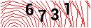 Security Verification