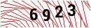 Security Verification