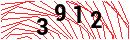 Security Verification