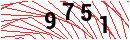 Security Verification