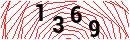 Security Verification