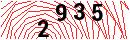Security Verification