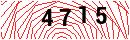 Security Verification